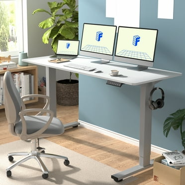 FLEXISPOT 60"x24" Home Office Height Adjustable Standing Desk with Hooks, Ergonomic Electric 2-Stage Stand Up Computer Desk, Gray and White