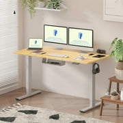 Flexispot 60x30 Electric Standing Desk with Solid Bamboo Desktop, Height Adjustable Ergonomic Home Office Sit Stand Desk with Power Outlets, Cable Management & Gray Frame Computer Workstation