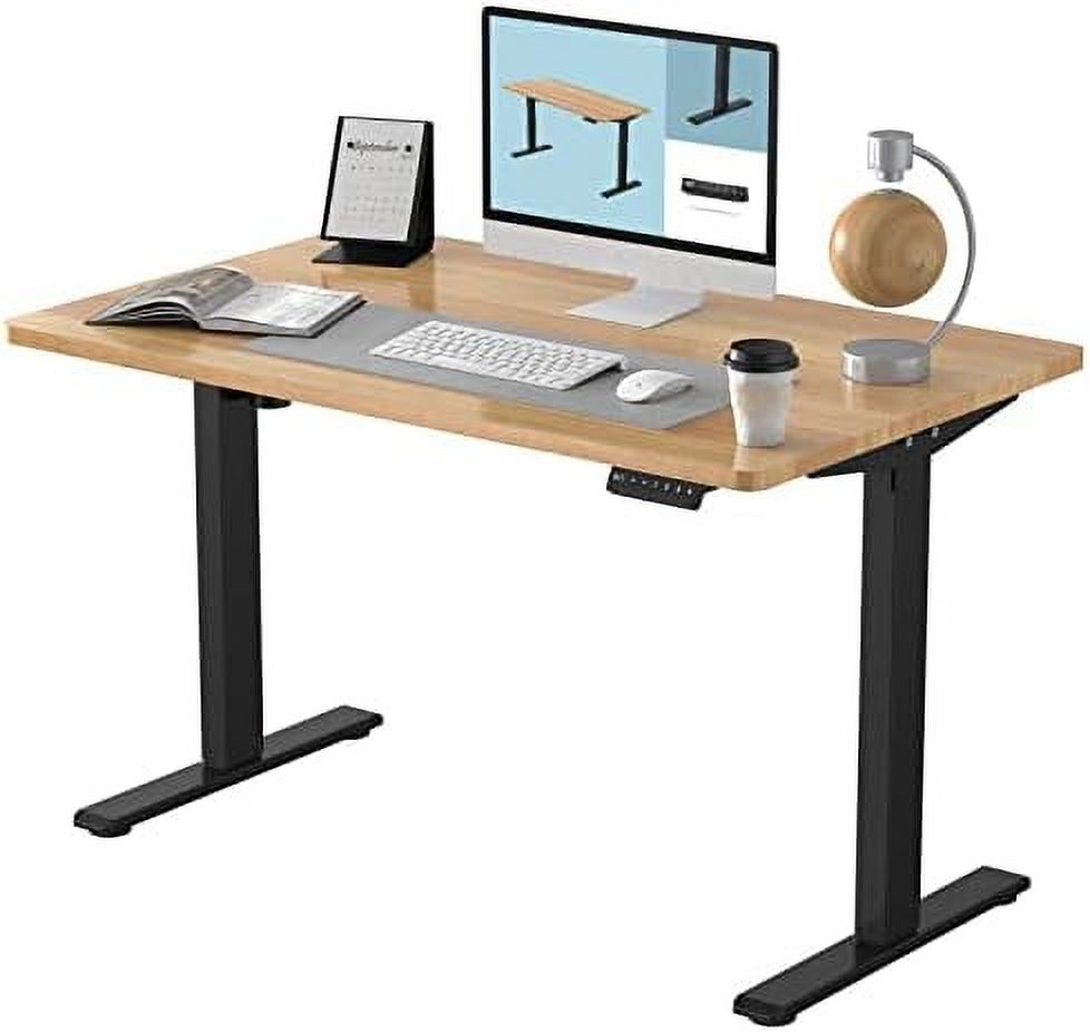 FLEXISPOT EN1 Electric White Stand Up Desk 48 X 24 Inches WholePiece