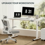 FLEXISPOT 48" x 30" Electric Height Adjustable Standing Desk One-Piece White Desktop with Two Hooks, 176 lbs Capacity