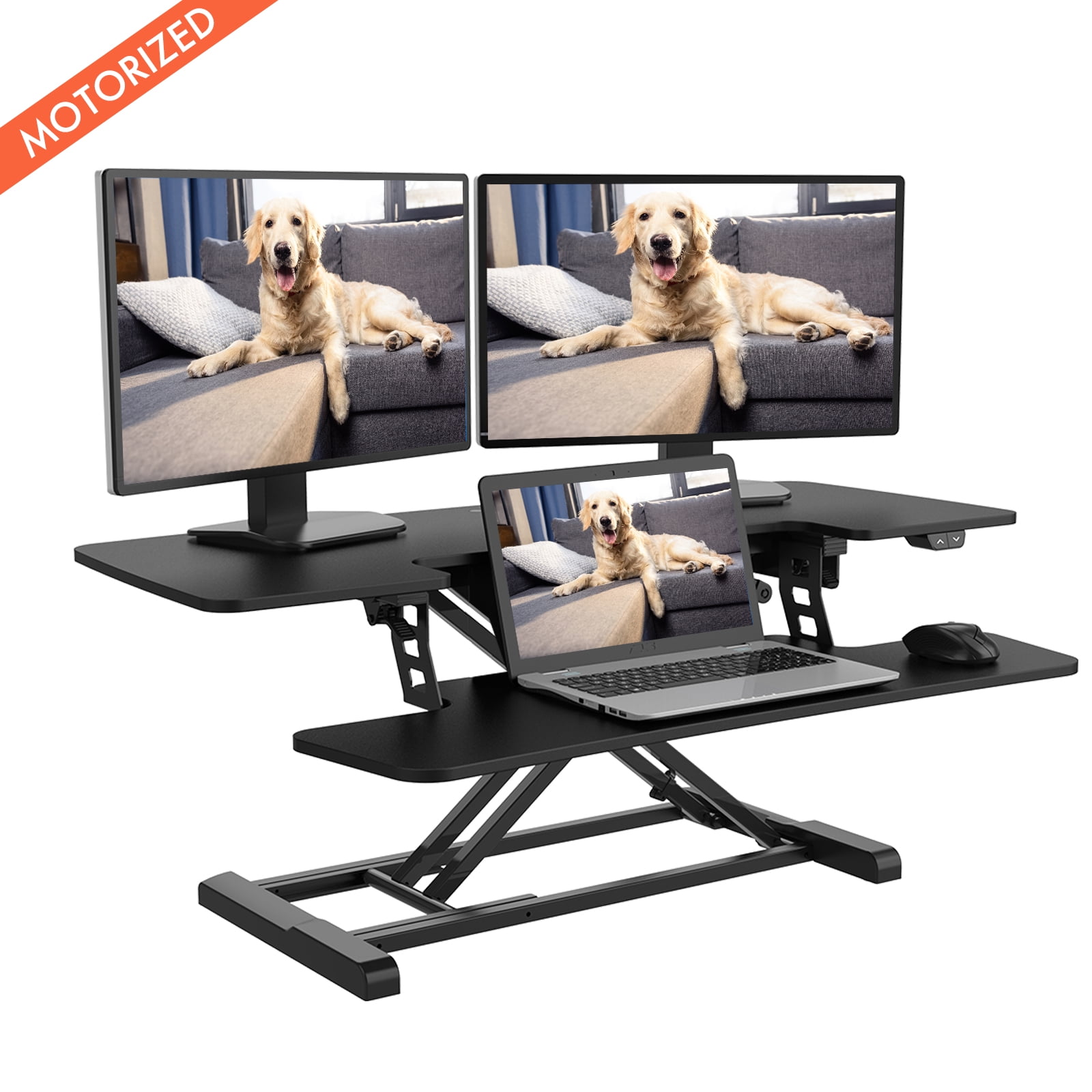 Flexispot riser 2024