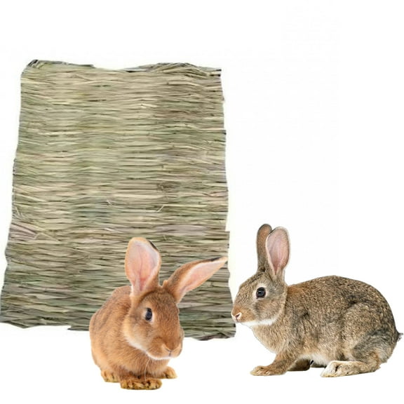 FLMEI Grass Mat for Rabbits Bunny, Woven Hay Mat for Small Pet Sleeping Chewing Nesting Toys for Guinea Pig Chinchilla Squirrel Hamster Cat Dog