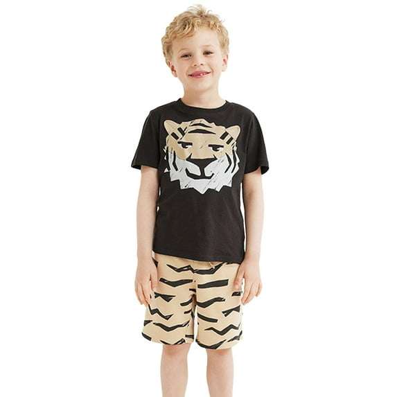 FLMEI Kids Baby Boys Short Sleeve T-Shirt and Short Outfit Set Dinosaur Cartoon Athletic Loose Sports T-Shirt Set 2-7Years