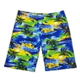 thumbnail image 1 of FLMEI Mens Swim Trunks Drawstring Quick Dry Beach Swim Shorts Summer Swimsuits Sports Five Boxer Shorts S-XXL, 1 of 9