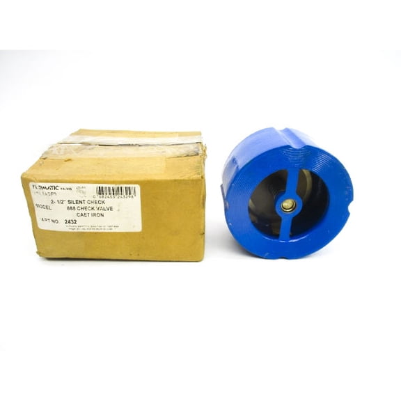 FLOMATIC 2432 888 2-1/2" NSMP