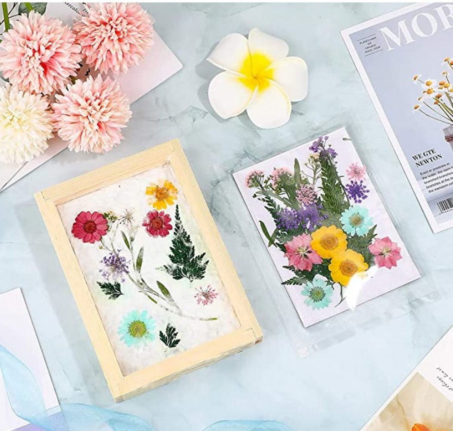 FLONOZZ Paper Making Screen Kit, 6 Pack Wooden Paper Making Mold Frame For Diy Dried Flowers