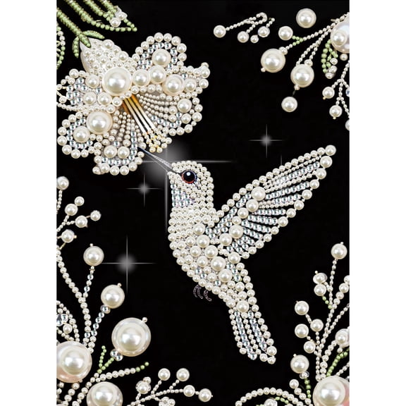 FLOPESN DIY Gemstone Pearl Diamond Art Painting Kit, 9.84X13.78in, Black Canvas Holiday Present Home Wall Decor Unframed-Hummingbird