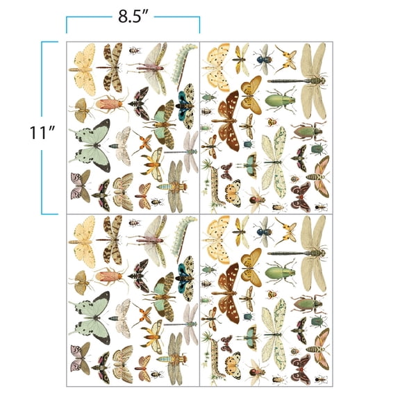 FLORAL DE AMOR Entomology Transfer Paper,Infusible Transfer Ink Sheets,4 sheets 8" x 11" Pumping ink Pattern- Pre-printed Sublimation Paper for Mug Heat Press,Coaster Blanks,DIY T-shirts