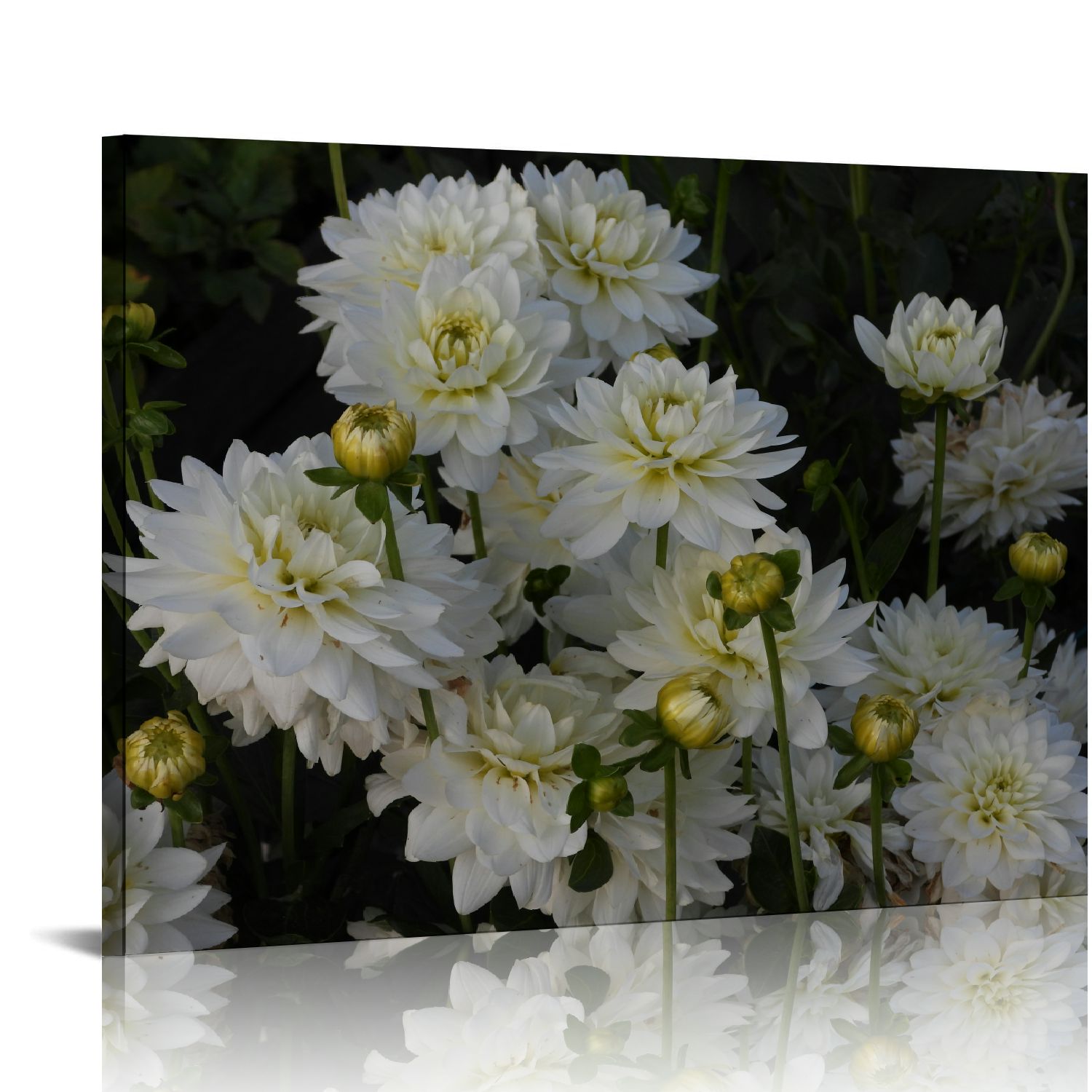 FLORID 20x16 in / 16x12 in Decorative Painting Dahlias-Decor Canvas Print Art Picture Artwork for Bedroom Kitchen Office Home Wall Decor Framed Ready to Hang Wall Art Printed 16x12in