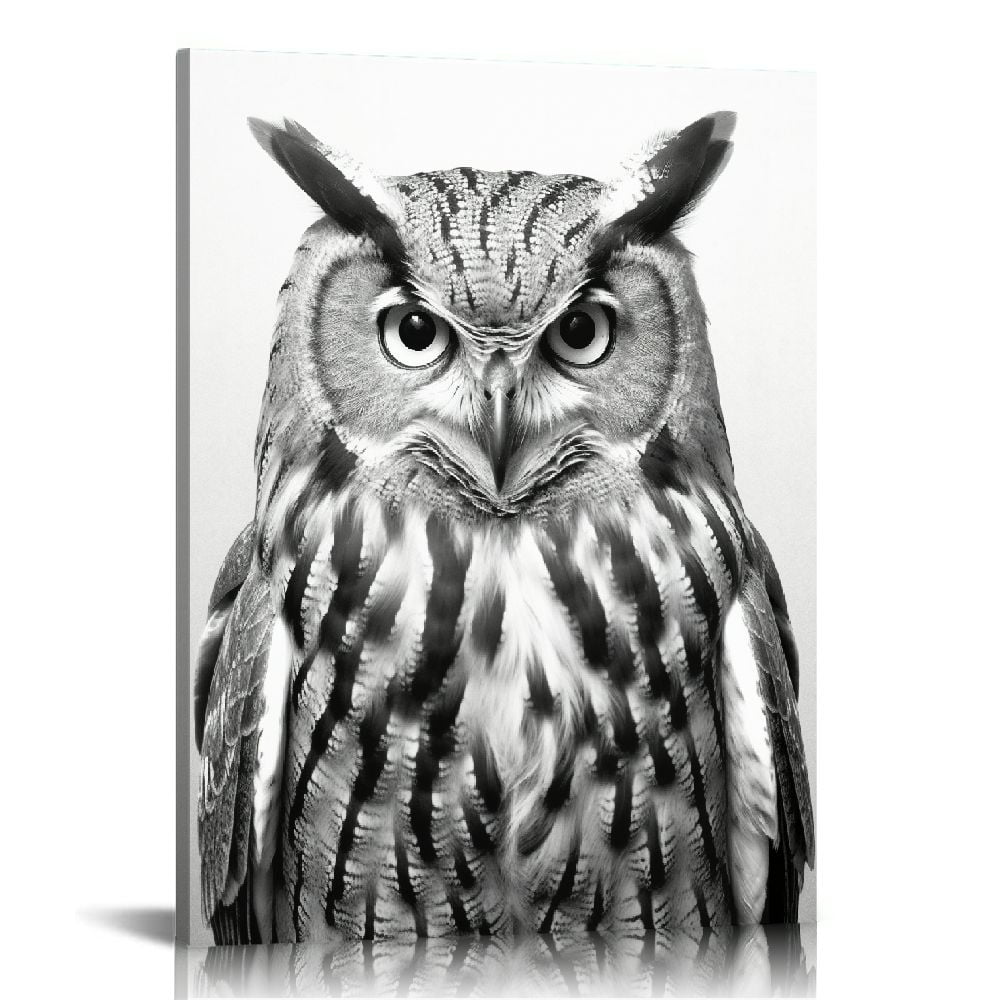 FLORID Black and White Owl Canvas Wall Decor Wild Animal Owls Picture