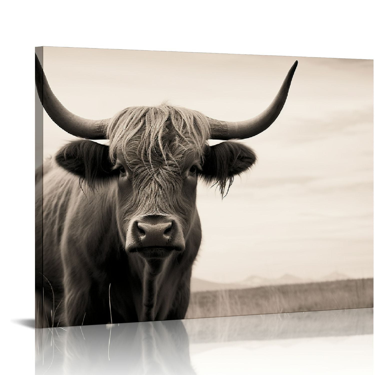 FLORID Farm Animal Canvas Wall Art Highland Cow with Long Horns Picture