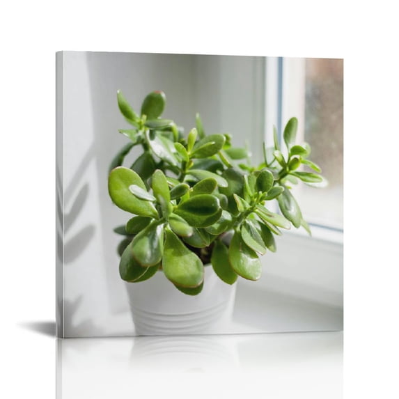 FLORID Succulent Plant Wall Art Decor Canvas Print Picture Artwork Wall Decor Framed 12x12 in