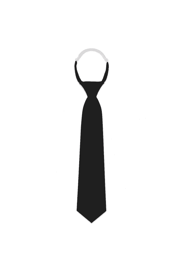 Black Tie for Women Pre-tied Adjustable Women's Ties 2.75"