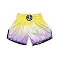 thumbnail image 1 of FLUORY Muay Thai Shorts Free Combat Mixed Martial Arts Boxing Training Match Pants Text Embroidery Gradient Shorts, 1 of 7