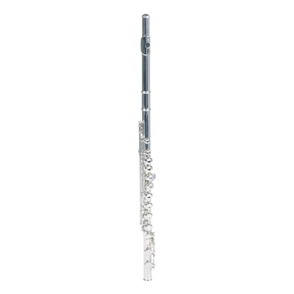 FLUTE W/CASE