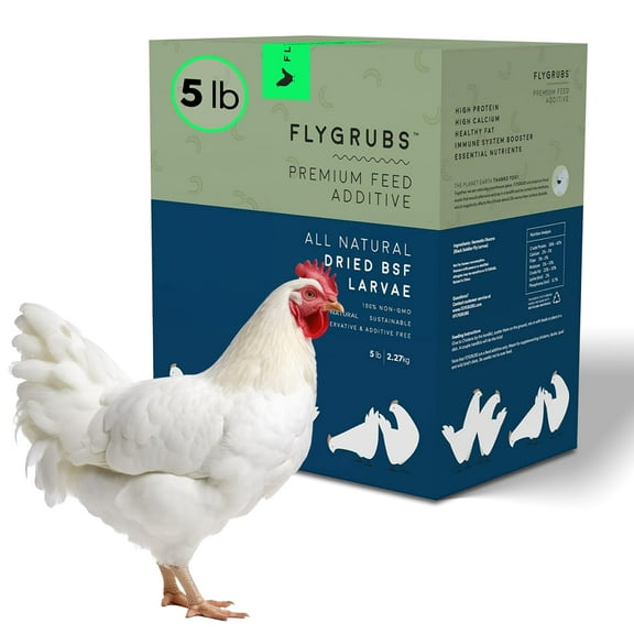 FLYGRUBS 5 lb Dried Black Soldier Fly Larvae - High-Calcium Chicken Treats for Laying Hens and Wild Birds - Nutrient-Rich Mealworm Alternative - Supports Feather Growth and Strong Eggshells