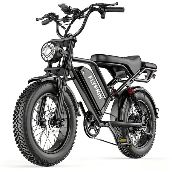 FLYPKIN FK20 750W Electric Bike for Adults, 31 MPH Full Suspension Fat Tire E-Bike with 48V 18Ah Removable Battery, 4070 Mile Range, 2-Seater, UL 2849 Certified