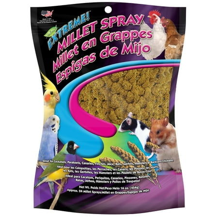 F.M. Brown's Extreme Spray Millet Treat 16 Oz For Parakeets, Cockatiels, and Finches