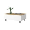 thumbnail image 1 of FM FURNITURE Boston Lift Top Coffee Table, 1 of 11