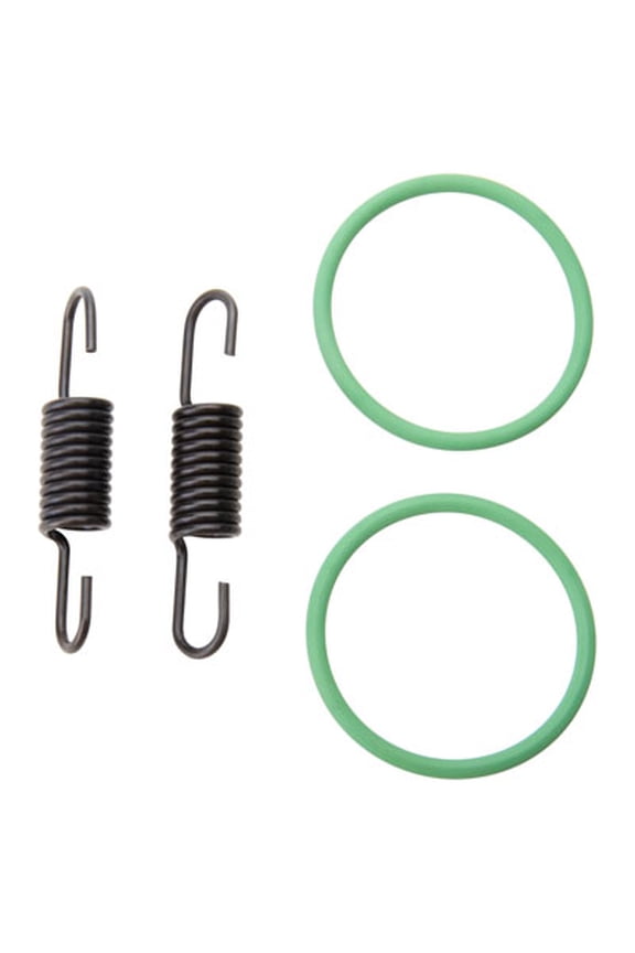 Pipe Spring & O-Ring Kit