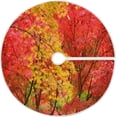 thumbnail image 1 of FMSHPON Autumn Xmas Christmas Tree Skirt Stand Mat for Holiday Party Decoration Indoor Outdoor 36 inches, 1 of 6