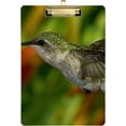 thumbnail image 1 of FMSHPON Humming Bird Clipboard Hardboard Wood Nursing Clip Board and Pull for Standard A4 Letter 13x9 inches, 1 of 7