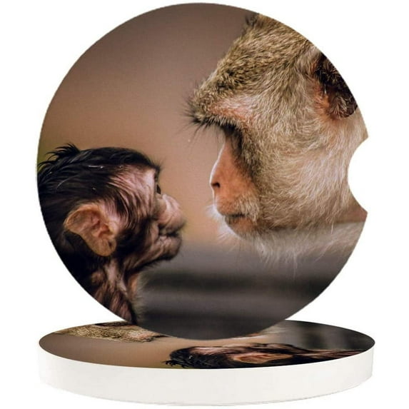 FMSHPON Monkeys Look at Each Other Set of 6 Car Coaster for Drinks, Absorbent Ceramic Stone Coasters Cup Mat with Cork Base for Home Kitchen Room Coffee Table Bar Decor