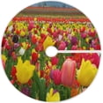 thumbnail image 1 of FMSHPON Mother's Day Beautiful Spring Tulips Flowers Xmas Christmas Tree Skirt Stand Mat for Holiday Party Decoration Indoor Outdoor 36 inches, 1 of 6