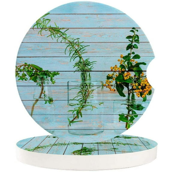 FMSHPON Plant in Glass Bottle Blue Wood Grain Set of 6 Car Coaster for Drinks, Absorbent Ceramic Stone Coasters Cup Mat with Cork Base for Home Kitchen Room Coffee Table Bar Decor