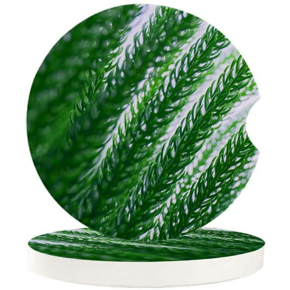 FMSHPON Spring Plant Green Leaf Set of 6 Car Coaster for Drinks, Absorbent Ceramic Stone Coasters Cup Mat with Cork Base for Home Kitchen Room Coffee Table Bar Decor