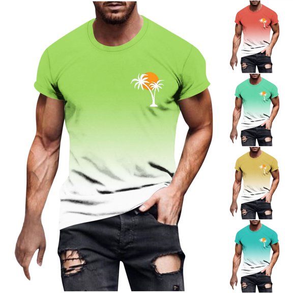 FNFYFH Mens Big and Tall Short Sleeve Gradient Shirt Crew Neck Tropical Ombre Shirt Lightweight Summer Graphic Tees