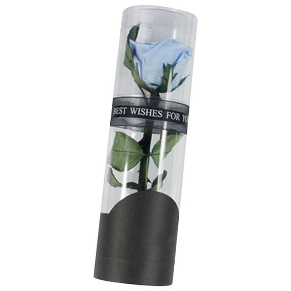 FNGZ 2024 Valentine's Day Gift Artificial Flowers Valentines Rose Gift for Her Gifts for Women Red Rose Flower In Glass Dome With Lights Artificial Roses Gift for Mom Mothers Day Anniversary