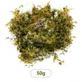 thumbnail image 1 of FNGZ Artificial Clearance Fake Moss Artificial Moss for Potted Plants Greenery Moss Home Decor Fairy Garden Crafts Wedding Decoration Fresh Green 50g, 1 of 10