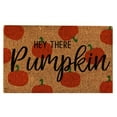 thumbnail image 1 of FNGZ Carpet Clearance Pumpkin Doormat Pumpkin Decor Funny Door Mat Fall Welcome Mat Fall Decor Rug, 1 of 2