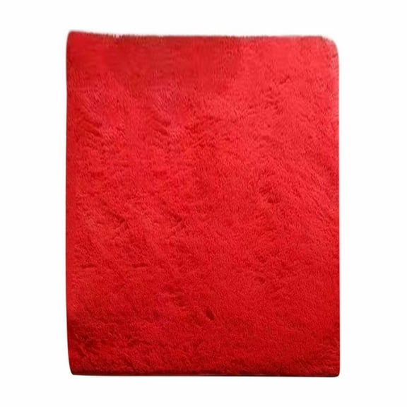 FNGZ Carpet,Floor Mat,Microfiber Mat Machine Washable Rugs for Parlor Bedroom Fluffy Shaggy Bedside Floor Dorm Grey Area Rug Soft Gray Fuzzy Non Slip Indoor Room Carpet for Family Kitchen,Area Rugs