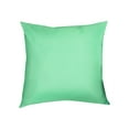 thumbnail image 1 of FNGZ Pillow Case Waterproof Pillows Clearance for Patio Couch Case Covers Vibrants Pillows Durable Decorative Outdoor Outdoor Throw Cushion Case Mint Green, 1 of 6