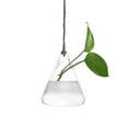 thumbnail image 1 of FNGZ Seed Disseminators Clearance Hanging Glass Ball Vase Flower Plant Pot Terrarium Container Party Wedding Decor, 1 of 3