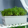 thumbnail image 1 of FNGZ Seed Disseminators Clearance Vegetable Planting Pot Plastic Flower Pot Balcony Vegetable Planting Trough, 1 of 9