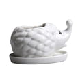 thumbnail image 1 of FNNMNNR Ceramic Succulent Pot Hedgehog Shaped Mini Flower Pot Plant Container for Home Office Decoration, 1 of 10