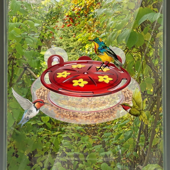 FNYOXU Hummingbird Feeders for Outdoors,New Window Hummingbird Feeder Metal Frame Sucker Hummingbird Feeder New Window Bird Feeder