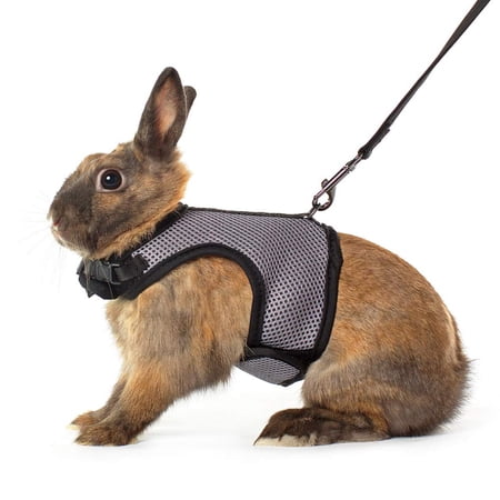 FOAUUH Adjustable Soft Harness with Elastic Leash for Rabbits (M, Grey)