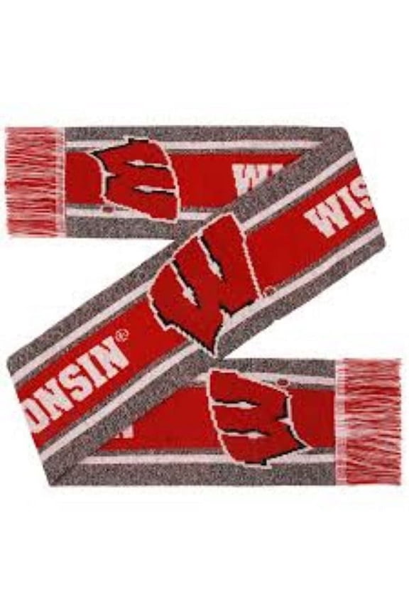 NCAA Wisconsin Badgers Gray Big Logo Scarf