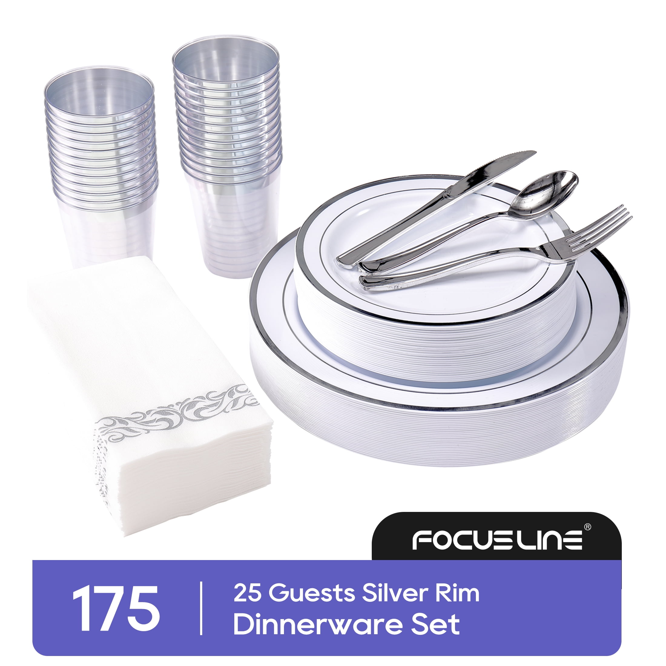 Silver Rimmed Disposable Dinnerware Set for 25 Guests