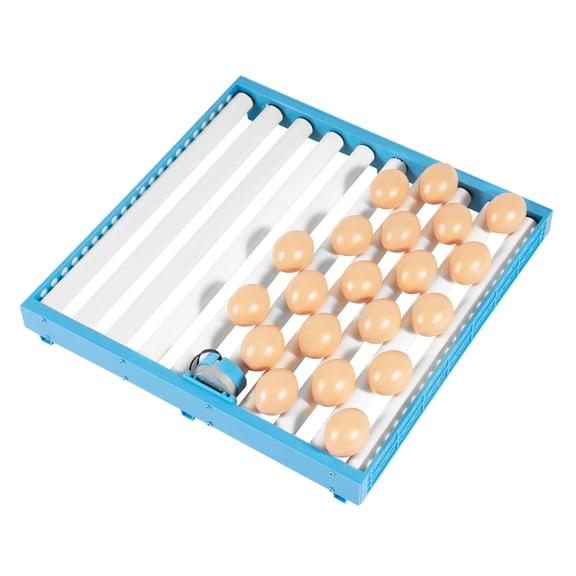 FOGGBET Blue 2-In-1 Egg Incubator with Temperature & Humidity Control, LED Screen, AC110V DC12V Dual Power 360 Automatic Egg Turning Digital Display Hatcher,18.8*18.8*8.5in(48 Egg)
