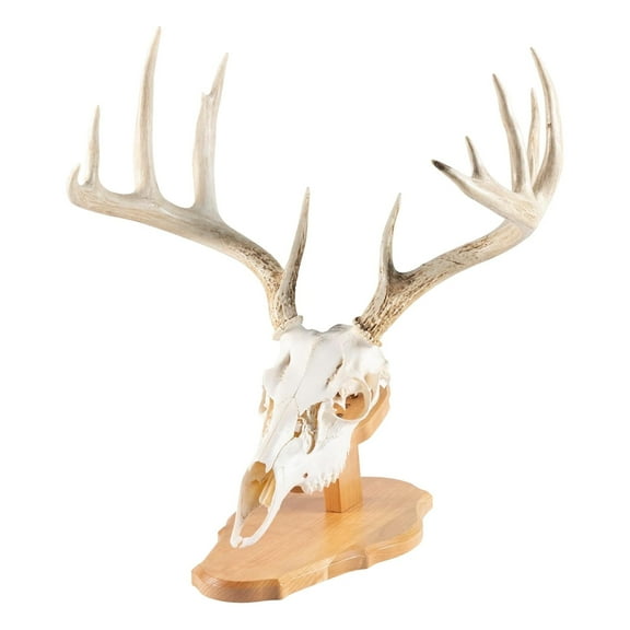 Foggy Bottom Woodworks LLC, Euro Skull Kit, Solid Cherry