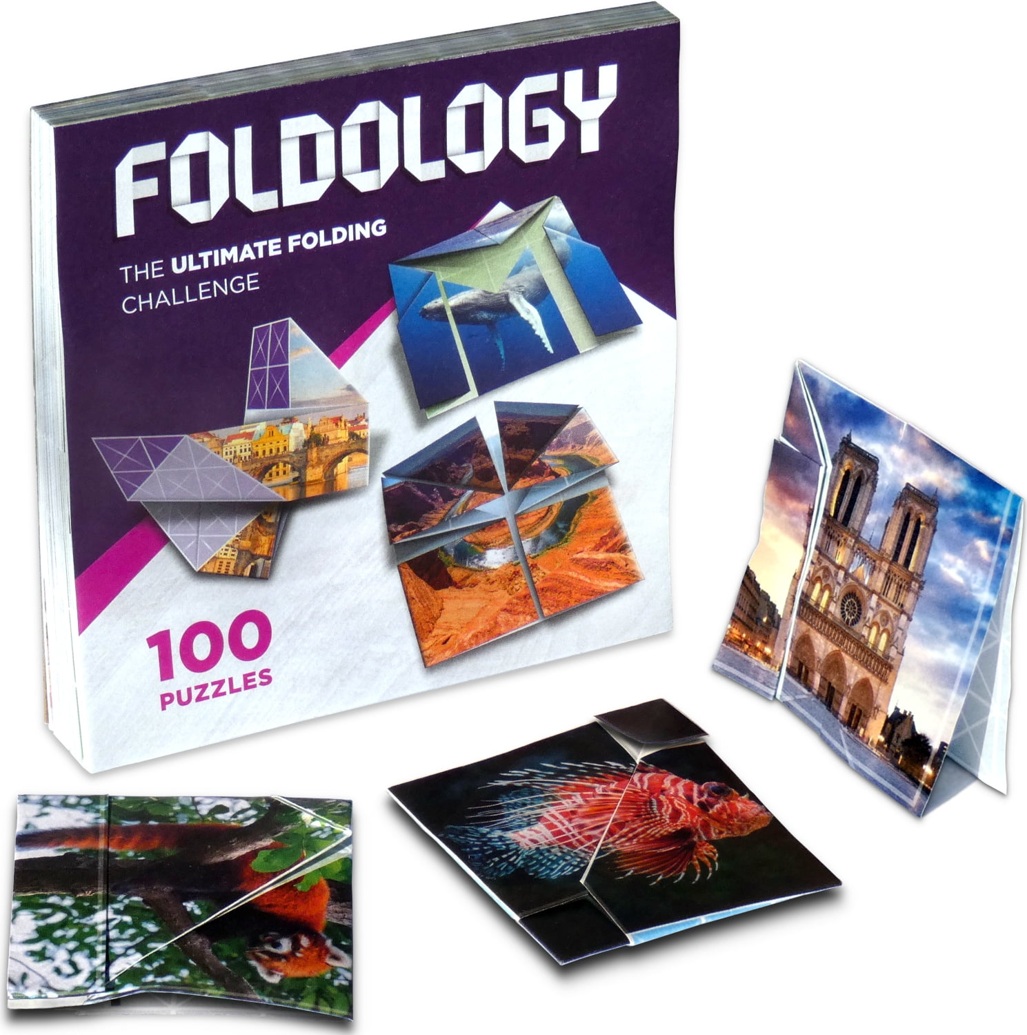 Foldology & Foldology 2 - Paquete Combinado. Rompecabezas Pl
