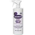 thumbnail image 1 of FOLEX Instant Carpet Spot Remover Liquid Carpet Cleaner - Odor Free Spray - 32 Oz., 1 of 7