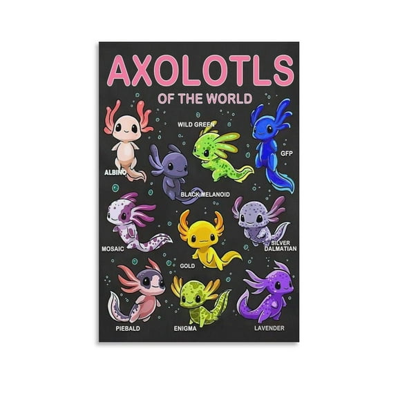FOLIUMK Animal Science Poster Types of Axolotl Posterstyle