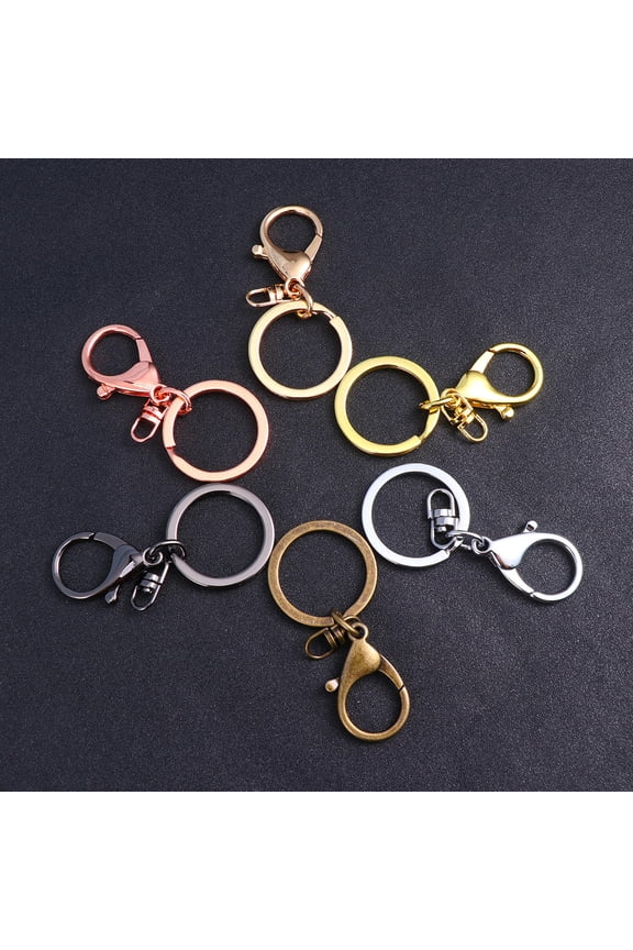 6Pcs Alloy Keychain Buckle with Snap Buckle for Hanging Use Assorted Color Durable Metal