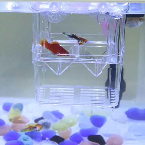 FOLOYORI Fish Breeding Box 1Set Transparent Acrylic For Aquarium Use